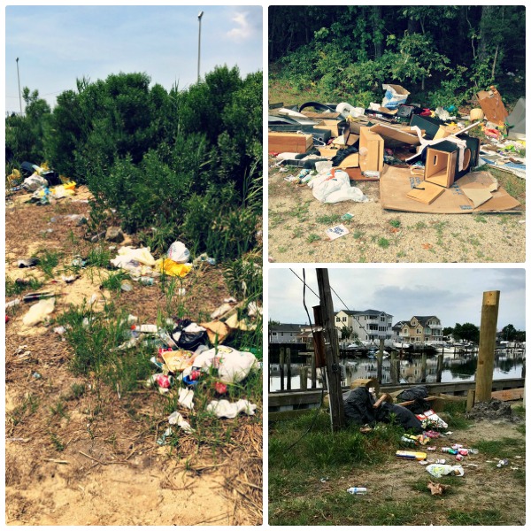 LitterCollage LitterCollage