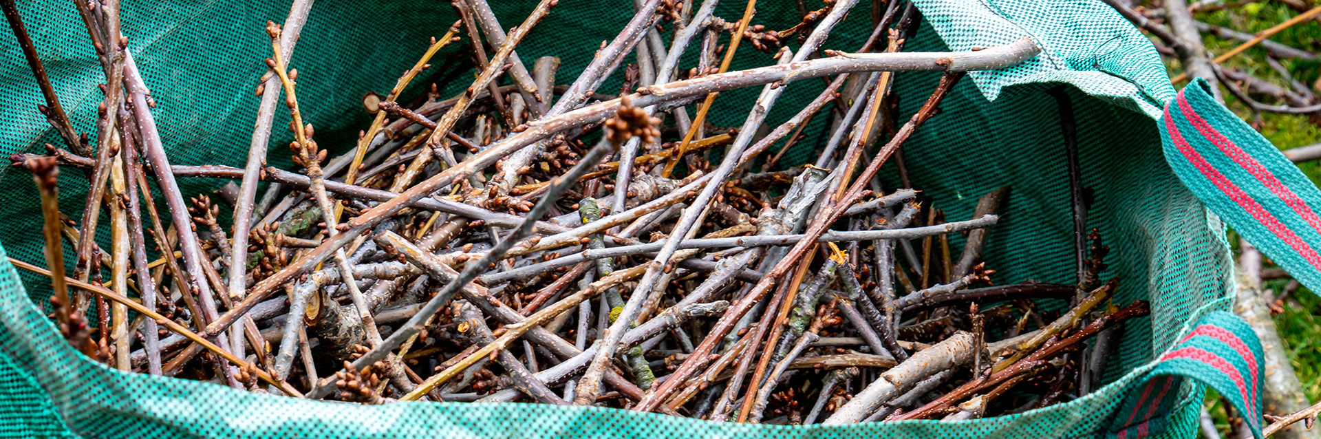 Yard Waste Pickup