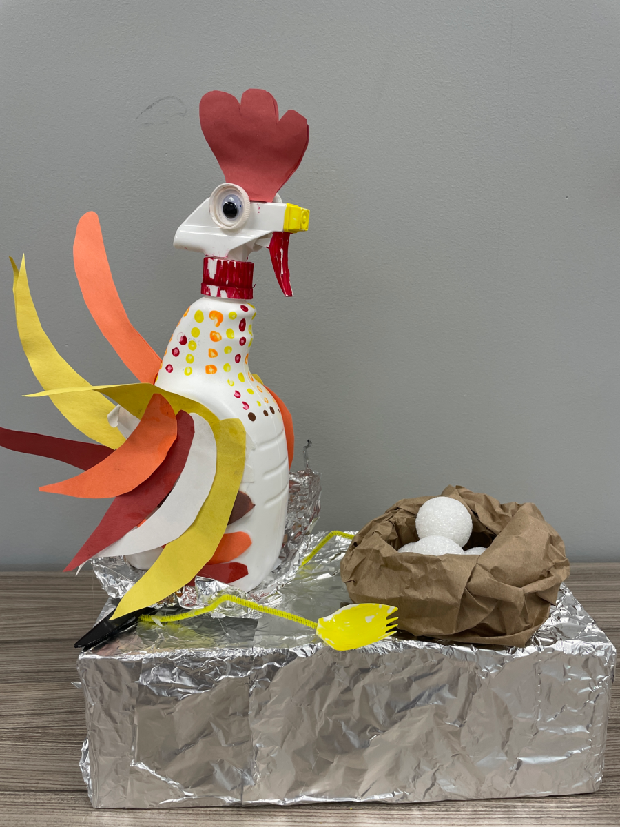 8-under-HM-Coco-the-Chicken