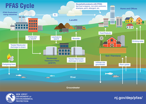 njdep-pfas-cycle-infographic.png