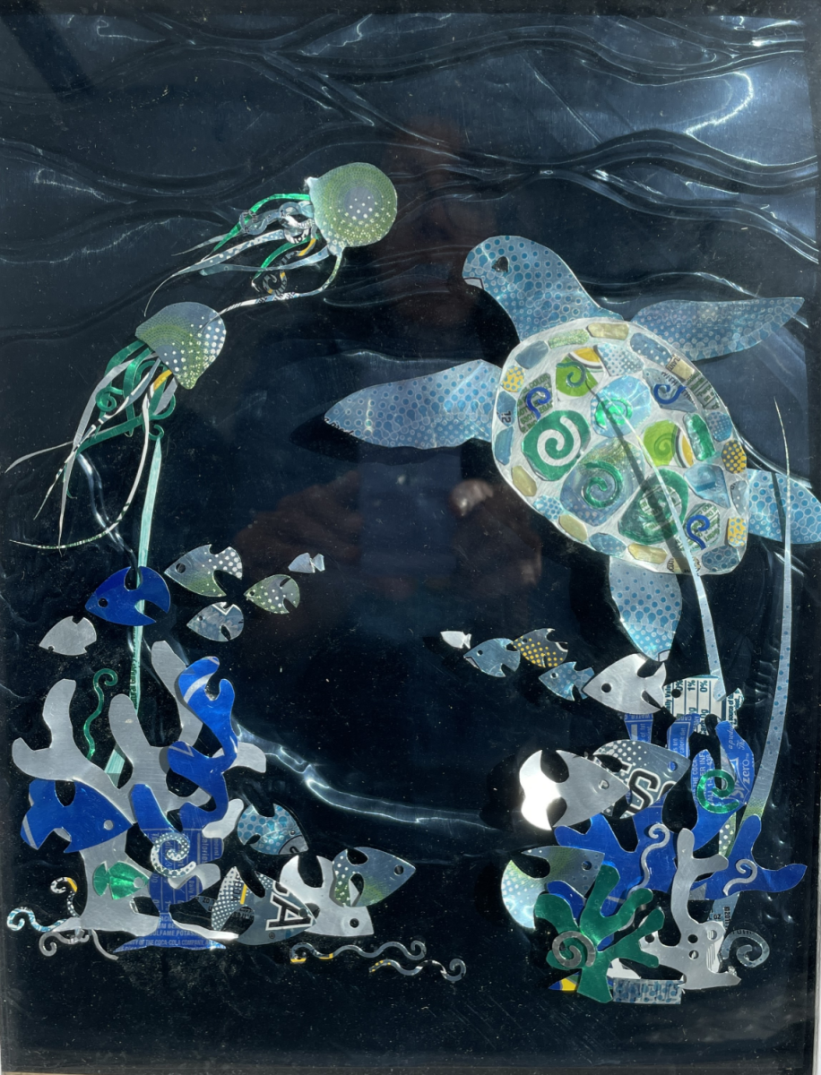 18-3rd-Sea-Cycle