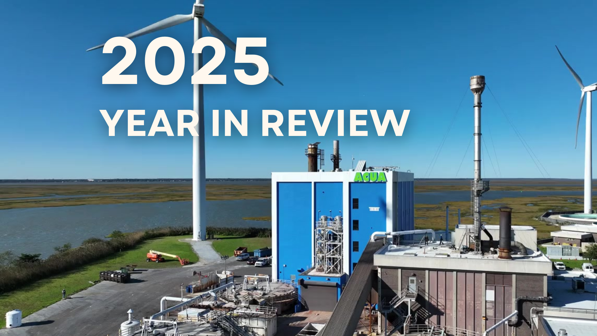 2025 In Review