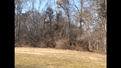 DroneGif DroneGif
