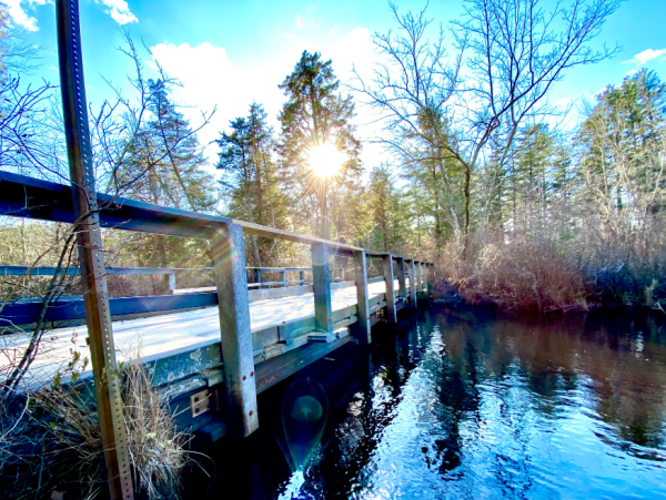 Wharton Bridge 5 Wharton Bridge 5