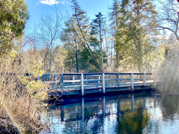 Wharton Bridge 4 Wharton Bridge 4