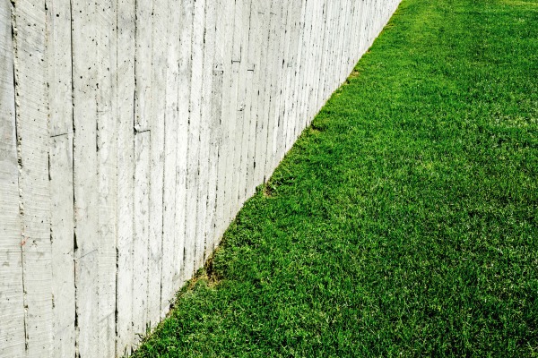 lawn lawn