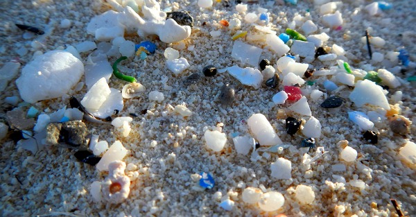 Microplastics Microplastics
